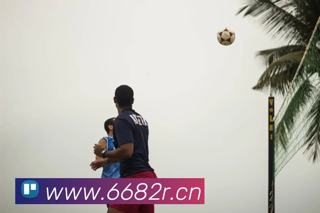 kaiyun官方登录入口服务体系